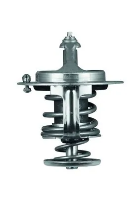 TX7182D Mahle Original Termostato