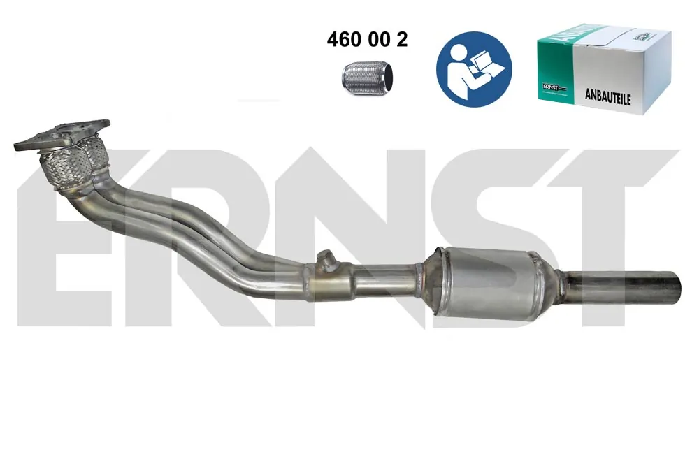 752930 Ernst