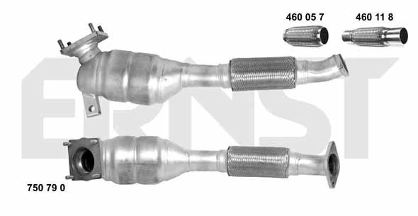 750790 Ernst