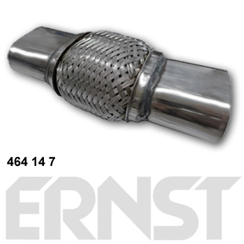 464147 Ernst