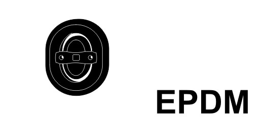 498791 Ernst