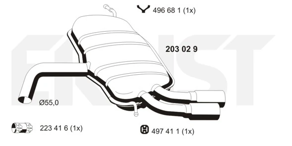 203029 Ernst