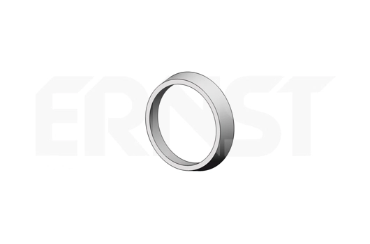 493918 Ernst