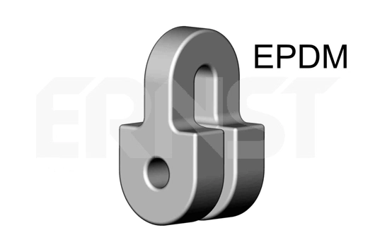 495516 Ernst