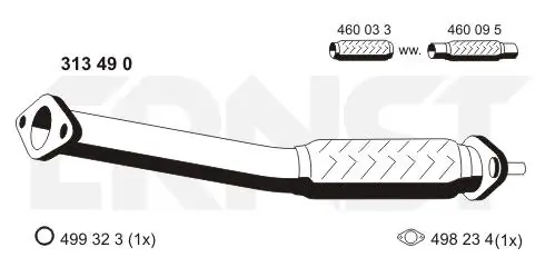 313490 Ernst