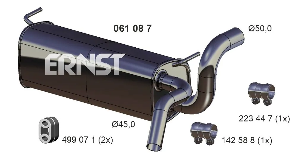 061087 Ernst
