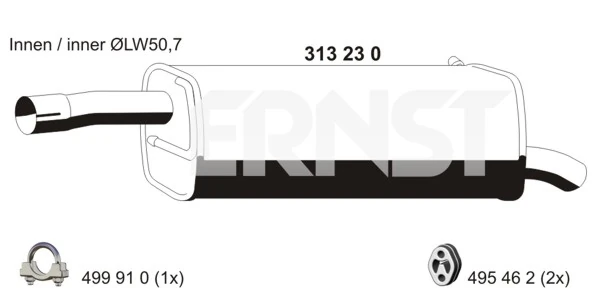 313230 Ernst