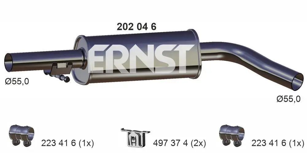 202046 Ernst