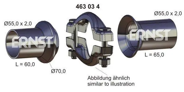 463034 Ernst