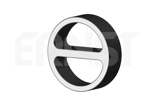 499668 Ernst