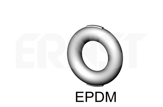 498852 Ernst