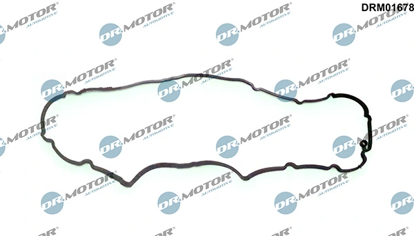 DRM01678 Lizarte