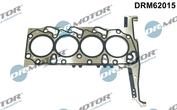 DRM62015 Lizarte