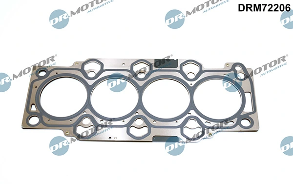 DRM72206 Lizarte