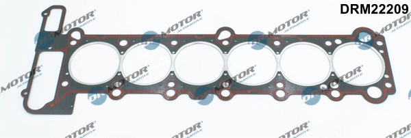 DRM22209 Lizarte