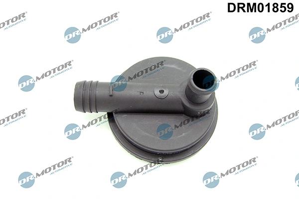 DRM01859 Lizarte