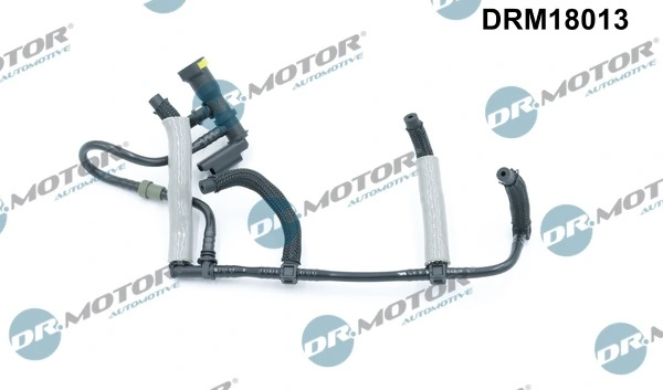 DRM18013 Lizarte
