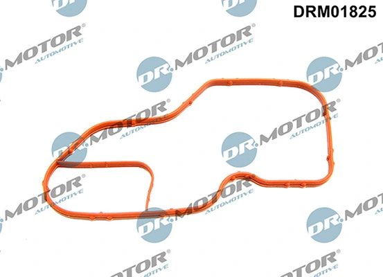 DRM01825 Lizarte