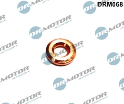 DRM068 Lizarte