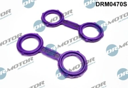 DRM0470S Lizarte