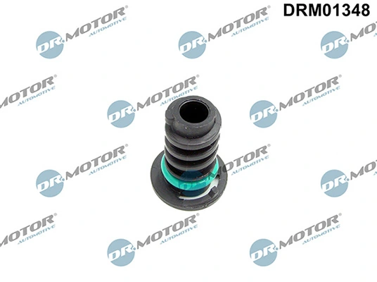 DRM01348 Lizarte