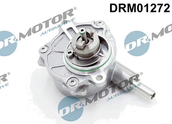 DRM01272 Lizarte