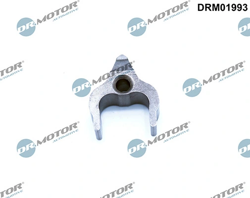 DRM01993 Lizarte
