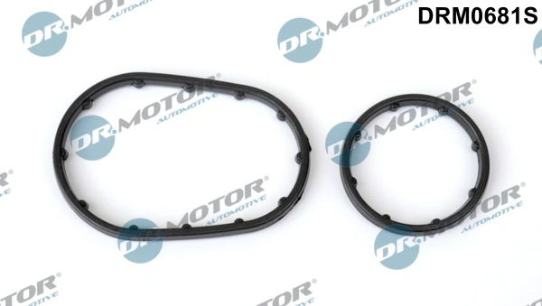 DRM0681S Lizarte