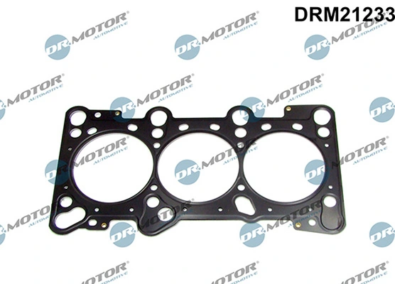 DRM21233 Lizarte