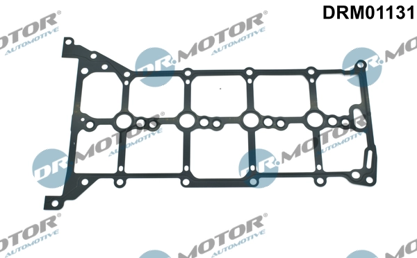 DRM01131 Lizarte