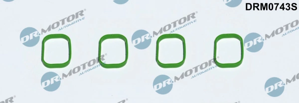 DRM0743S Lizarte