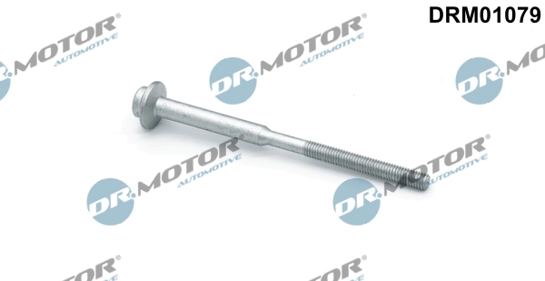 DRM01079 Lizarte