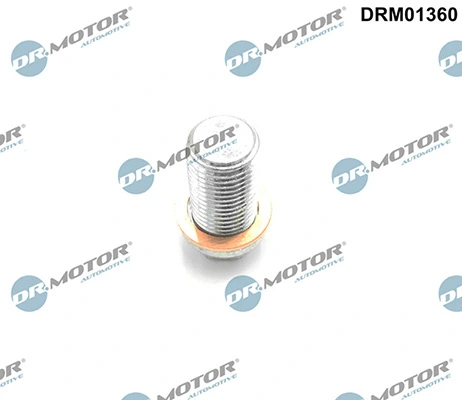 DRM01360 Lizarte