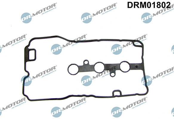 DRM01802 Lizarte