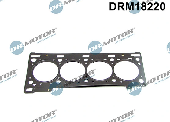 DRM18220 Lizarte