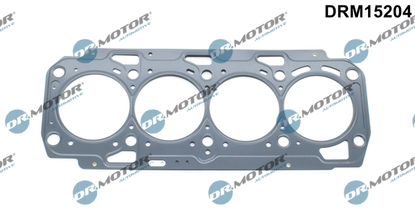 DRM15204 Lizarte