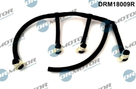 DRM18009R Lizarte