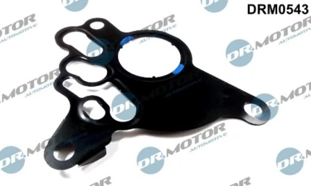 DRM0543 Lizarte
