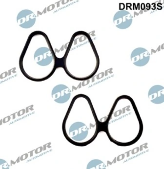 DRM093S Lizarte