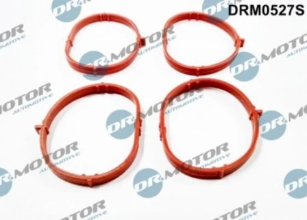DRM0527S Lizarte