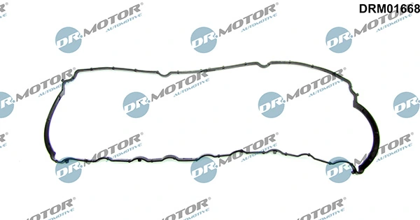 DRM01668 Lizarte