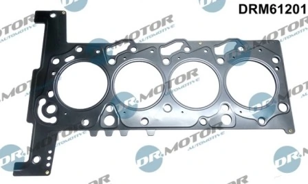 DRM61201 Lizarte