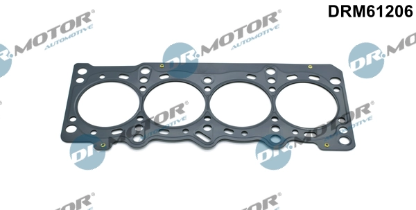 DRM61206 Lizarte