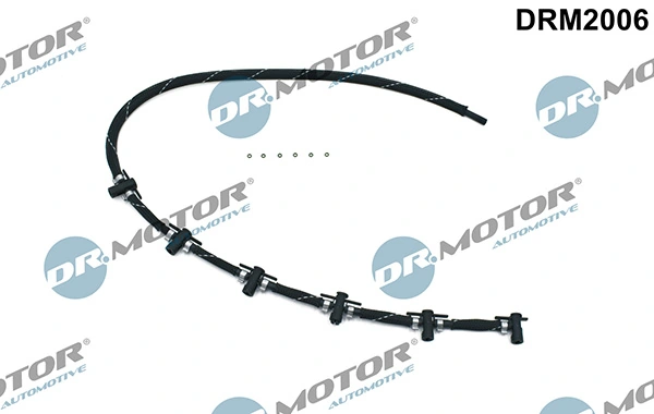 DRM2006 Lizarte