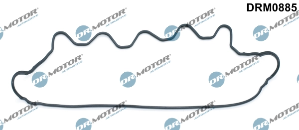 DRM0885 Lizarte