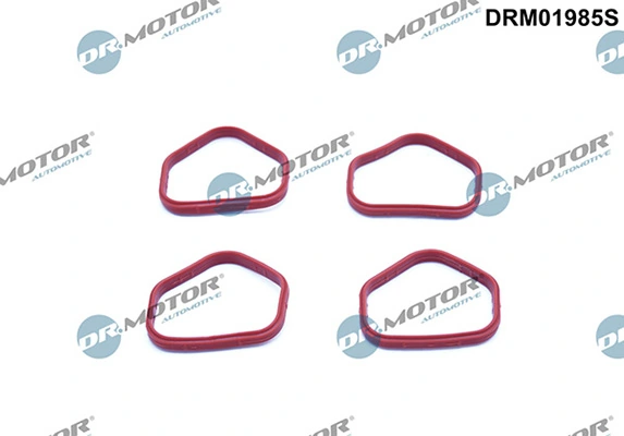 DRM01985S Lizarte