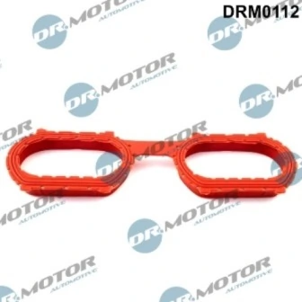DRM0112 Lizarte