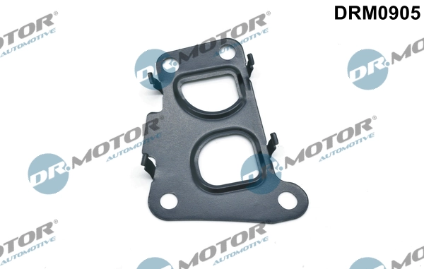 DRM0905 Lizarte