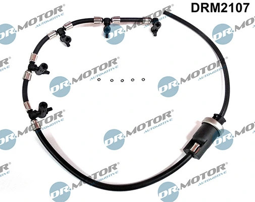DRM2107 Lizarte