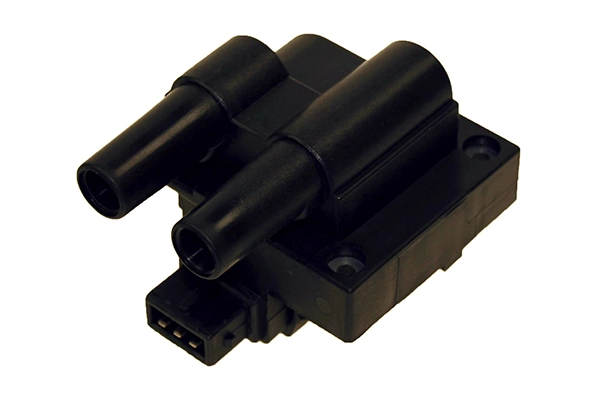 BOBEN020 Lizarte